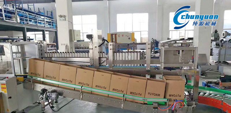 裝箱機(jī)，挑選裝箱機(jī)，純源裝箱機(jī)，純源機(jī)械